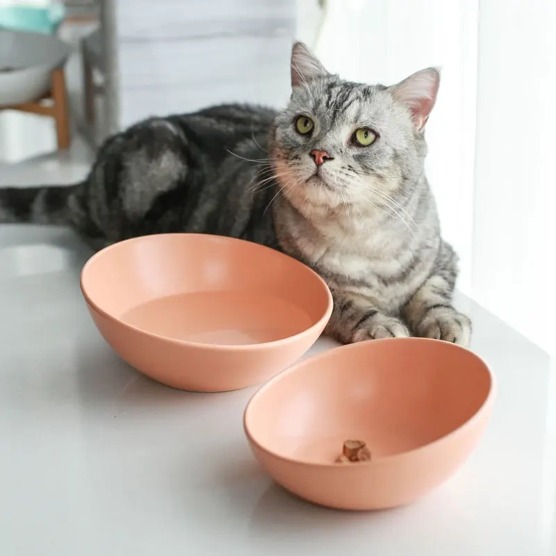 Cat Bowl Ceramic Slanted Food Water Feeding Bowl for Cat Dog Pets