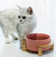 Multi Colors Ceramic Pet Cat Dog Bowl With Wooden Stand