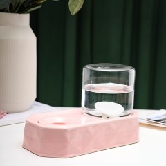 Cat water fountain with a non-wet mouth