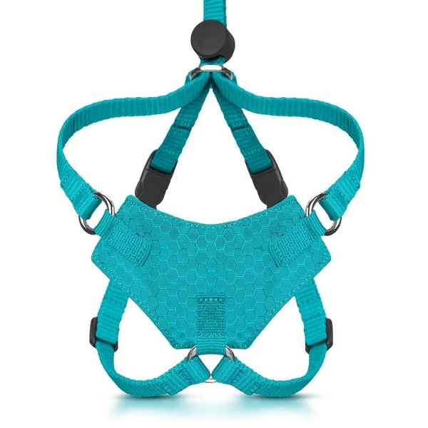 Customized-Escape Proof Cat Harness and Leash Set