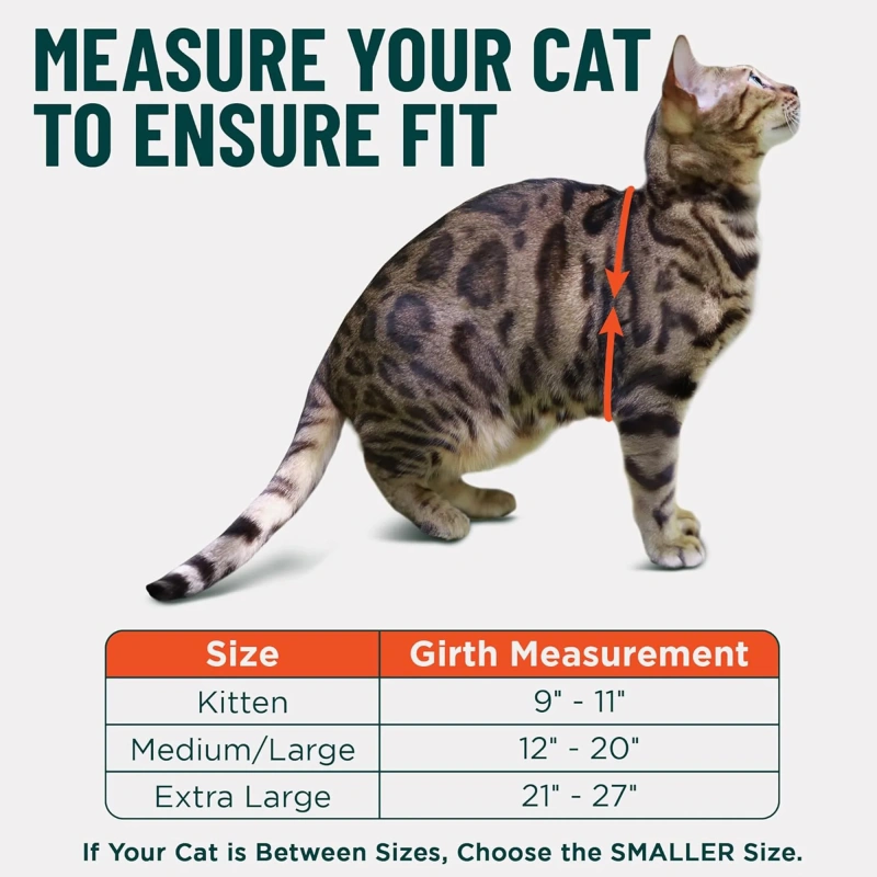 Escape Proof Cat Harness and Leash Set, Adjustable Breathable Mesh Cat Vest Harness for Walking Kitten, Medium & Large Cats