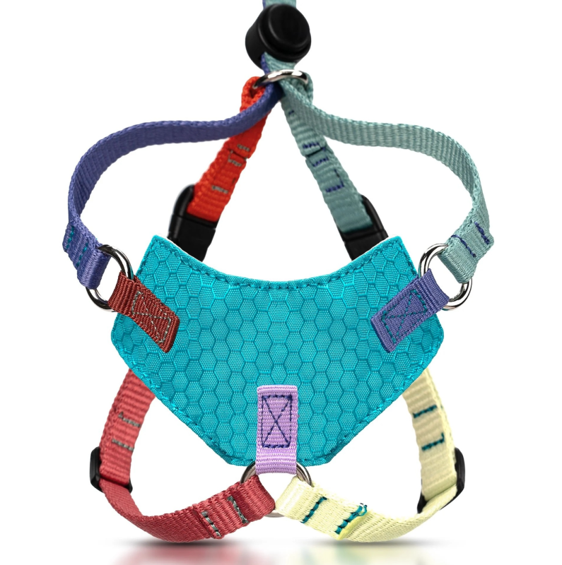 Customized-Escape Proof Cat Harness and Leash Set