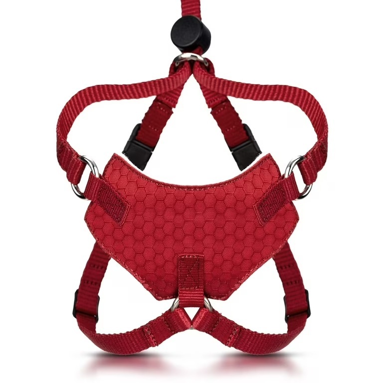 Customized-Escape Proof Cat Harness and Leash Set