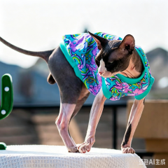 Hairless cat summer short-sleeved vest