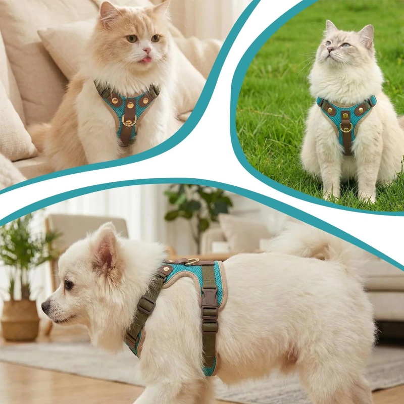 Cat Dog Harness Leash Set Reflective Breathable Mesh No Pull Adjustable Pet Vest for Kitten Puppy Walking Training