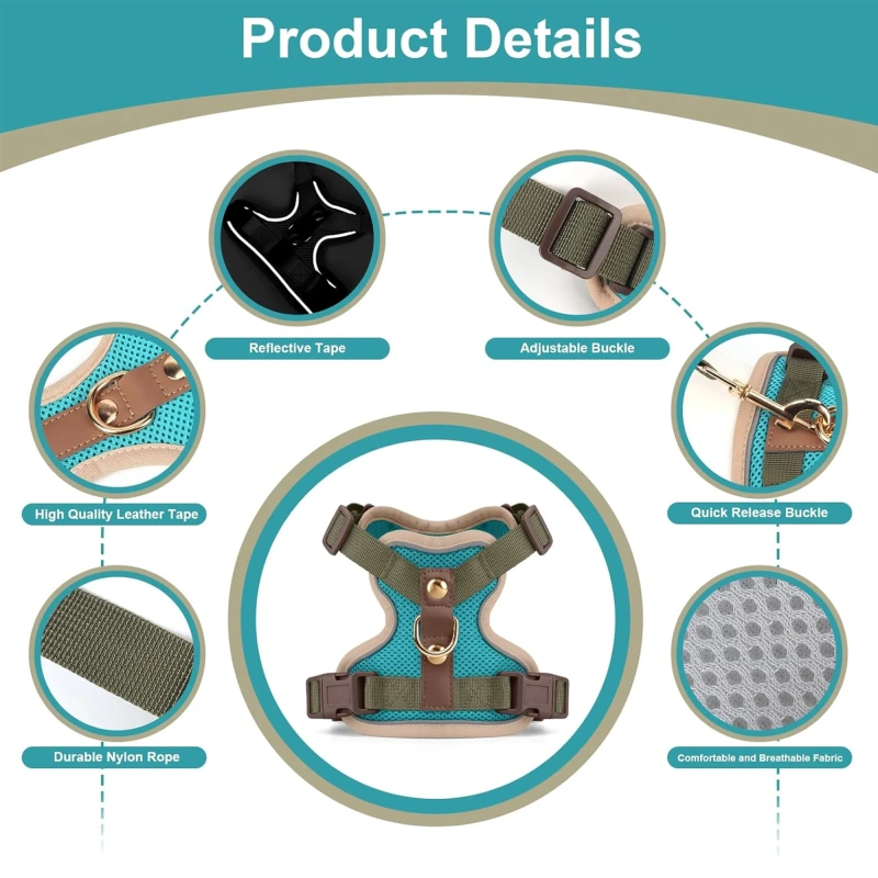 Cat Dog Harness Leash Set Reflective Breathable Mesh No Pull Adjustable Pet Vest for Kitten Puppy Walking Training