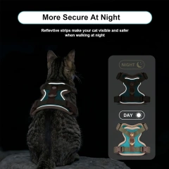 Cat Dog Harness Leash Set Reflective Breathable Mesh No Pull Adjustable Pet Vest for Kitten Puppy Walking Training