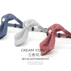 Pet bow tie
