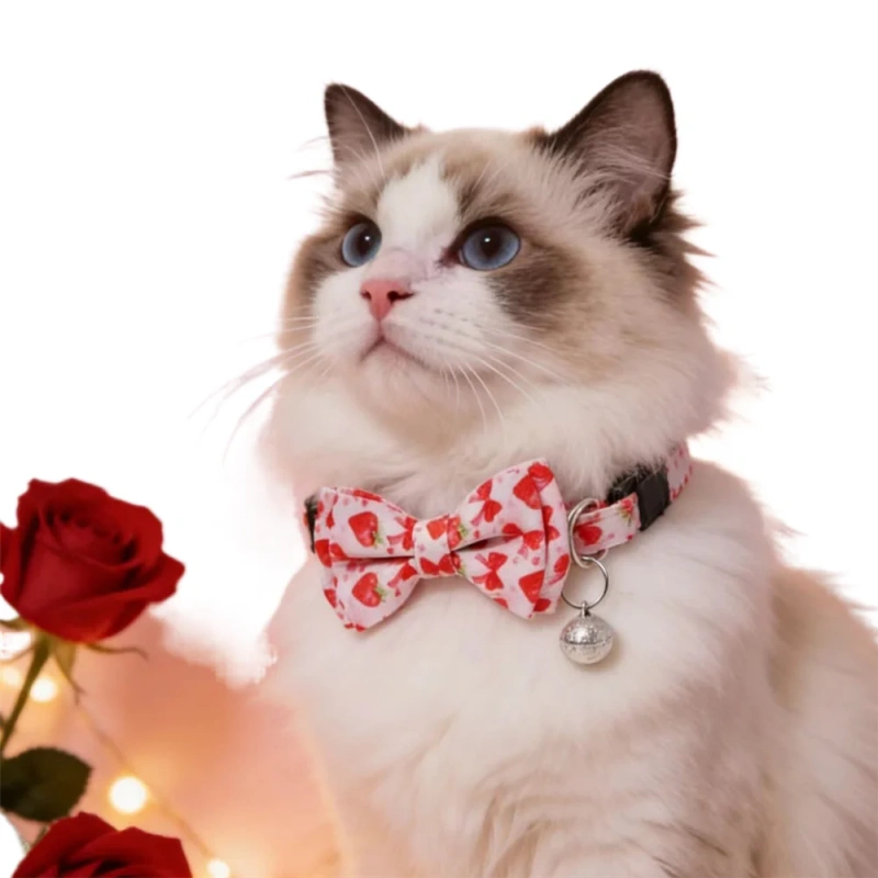 Valentine's Day Easter Luxury Cotton Collar with Heart Pattern and Detachable Bow