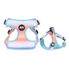 Comfortable Premium Adjustable Polyester Neoprene Nylon pet Harness Set