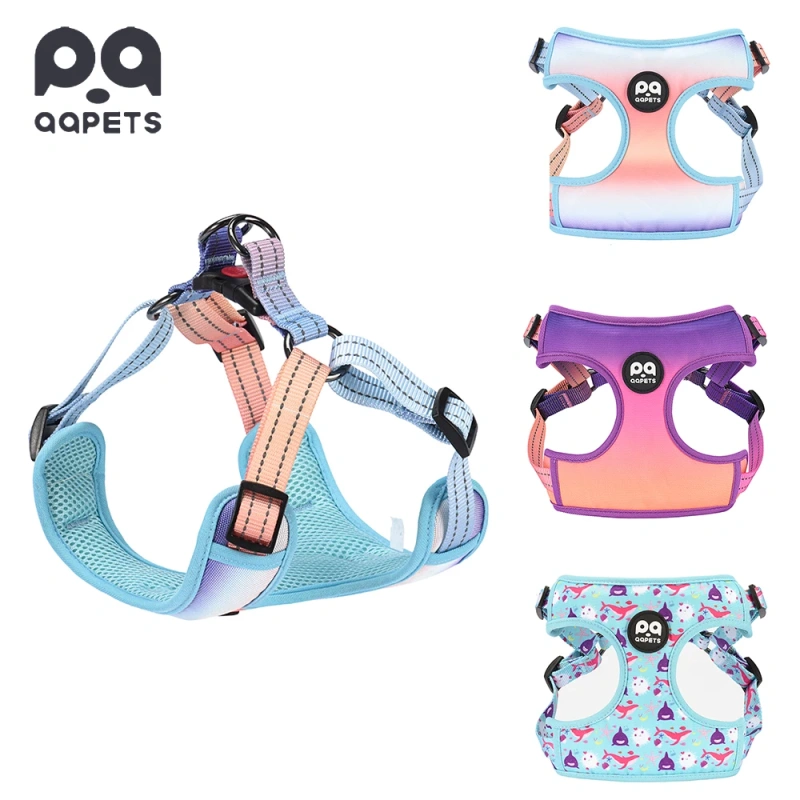 Personalized Luxury Design Custom Comfortable Premium Adjustable Polyester Neoprene Nylon Dog Harness Set