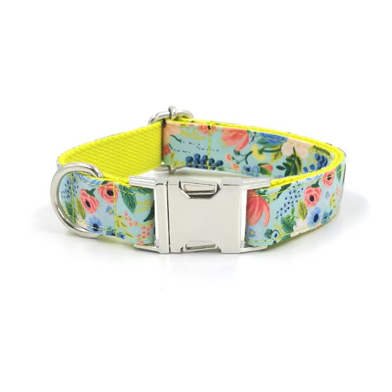 Pet dog printed collar