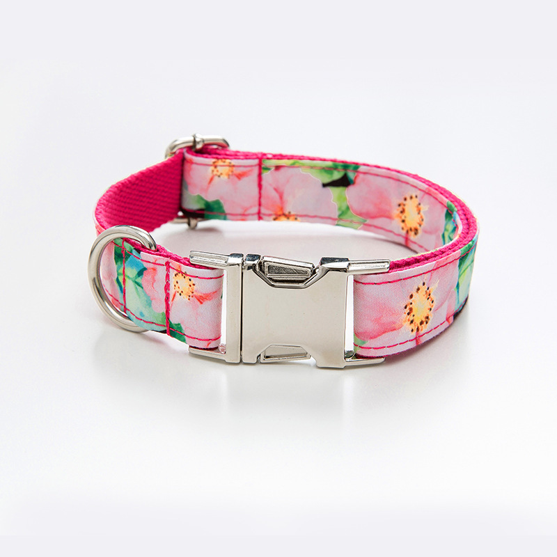 Pet dog printed collar