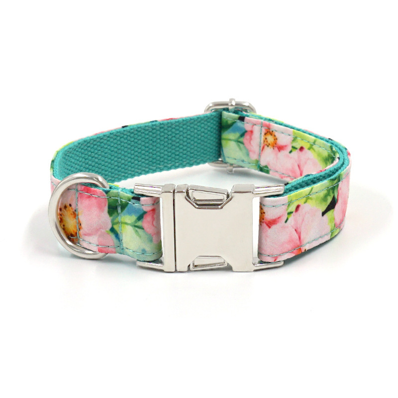 Pet dog printed collar