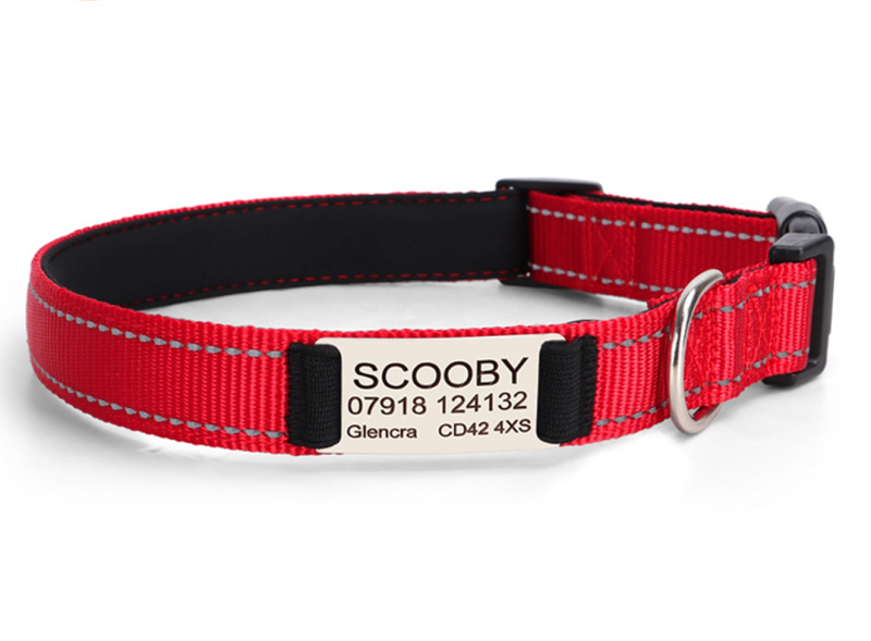 Reflective Nylon Dog Collar Adjustable Engraved Name Plate Pet Dog Collar Personalized