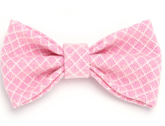 Personalized Engravable Luxury Polyester Pet Collar Set