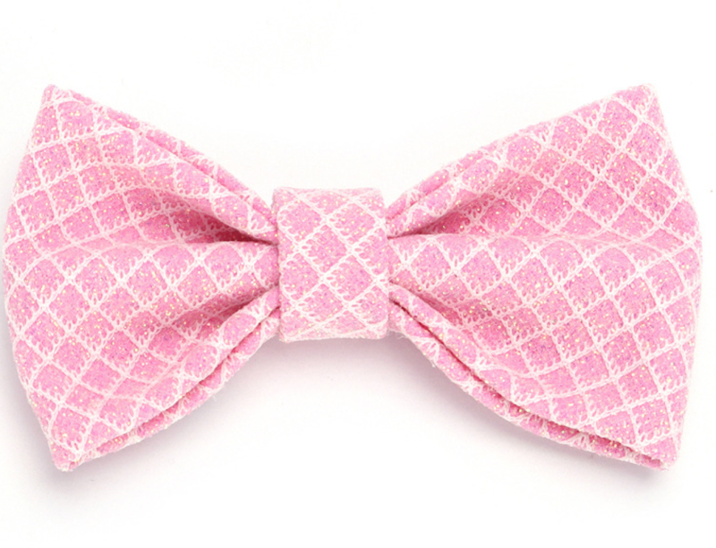 Personalized Engravable Luxury Polyester Pet Collar Set