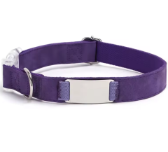 Engraved Cartoon Padded Soft Pet Collar