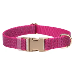 Glow Castle Solid Reflective Eco-friendly Nylon Dog Collar Luxury Metal Buckle Personalized Engraved Durable Training Leash