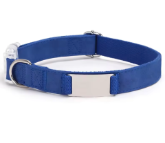 Engraved Cartoon Padded Soft Pet Collar