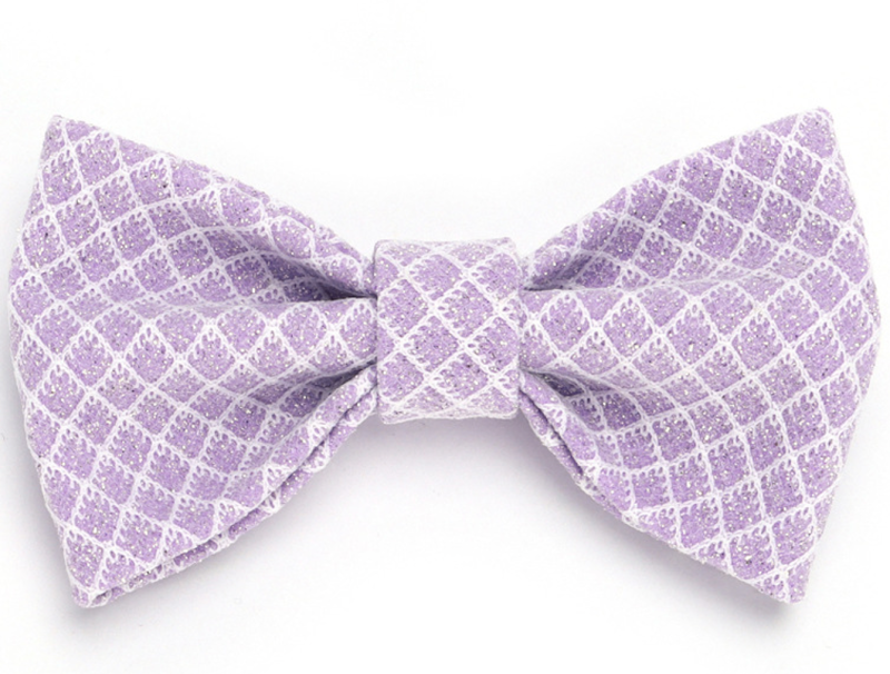 Personalized Engravable Luxury Polyester Pet Collar Set