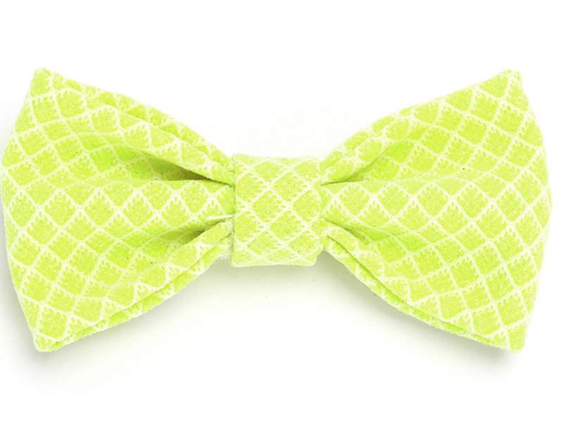 Personalized Engravable Luxury Polyester Pet Collar Set