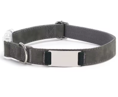 Engraved Cartoon Padded Soft Pet Collar