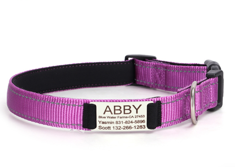 Reflective Nylon Dog Collar Adjustable Engraved Name Plate Pet Dog Collar Personalized