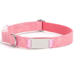 Engraved Cartoon Padded Soft Pet Collar