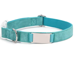 Engraved Cartoon Padded Soft Pet Collar