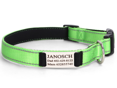 Reflective Nylon Dog Collar Adjustable Engraved Name Plate Pet Dog Collar Personalized