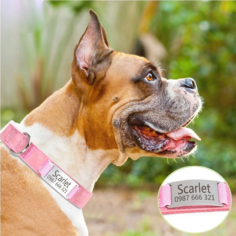 Engraved Cartoon Padded Soft Pet Collar with Ribbons Skin-Friendly Leather Transparent Buckle Anti-Slip Dog Collar Solid Pattern