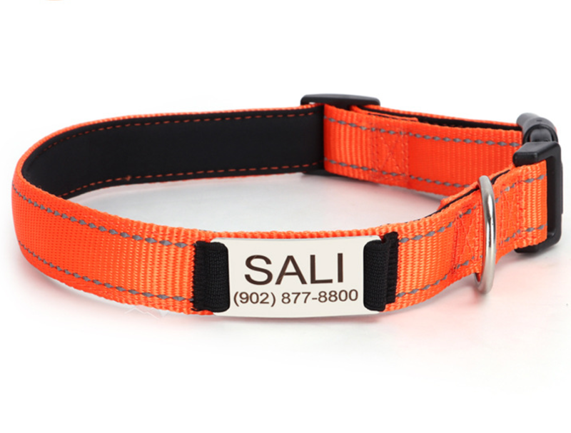Reflective Nylon Dog Collar Adjustable Engraved Name Plate Pet Dog Collar Personalized