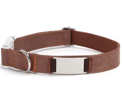 Engraved Cartoon Padded Soft Pet Collar
