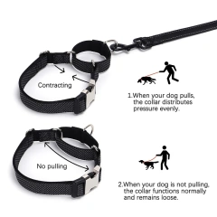 Personalized Martingale Dog Collar with Custom Name Adjustable Anti-Escape No Pull Training Collar for Dogs Pet Safety Accessory