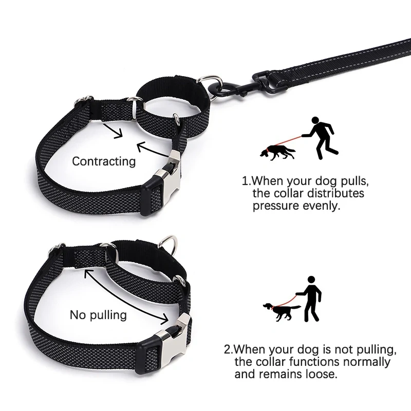 Personalized Martingale Dog Collar with Custom Name Adjustable Anti-Escape No Pull Training Collar for Dogs Pet Safety Accessory