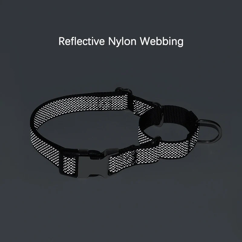 Personalized Martingale Dog Collar with Custom Name Adjustable Anti-Escape No Pull Training Collar for Dogs Pet Safety Accessory