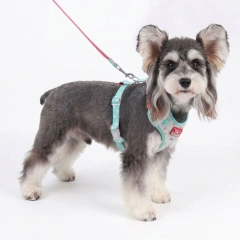 Pet Love Small Dog Outdoor Walking Anti-Escape Polyester Harness