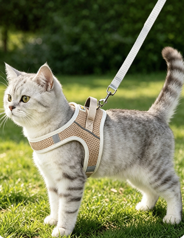 Pet Harness Vest Chest Rope Set Reflective Soft Breathable Handle