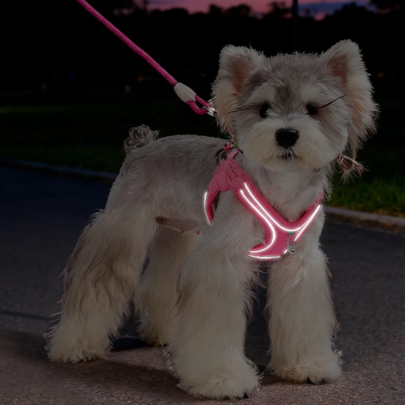 Adjustable Escape Proof Cat and Dog Harness, Lightweight Reflective Vest with Leash for Outdoor Walking, Anti-Escape Chew Proof
