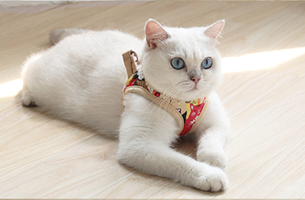 Soft Cotton Pet Walking Reversible Harness
