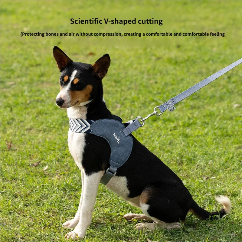 No Pull Dog Harness and Leash Set Adjustable Soft Dog Vest Harness with leash set Comfort Lightweight dog walking accessories