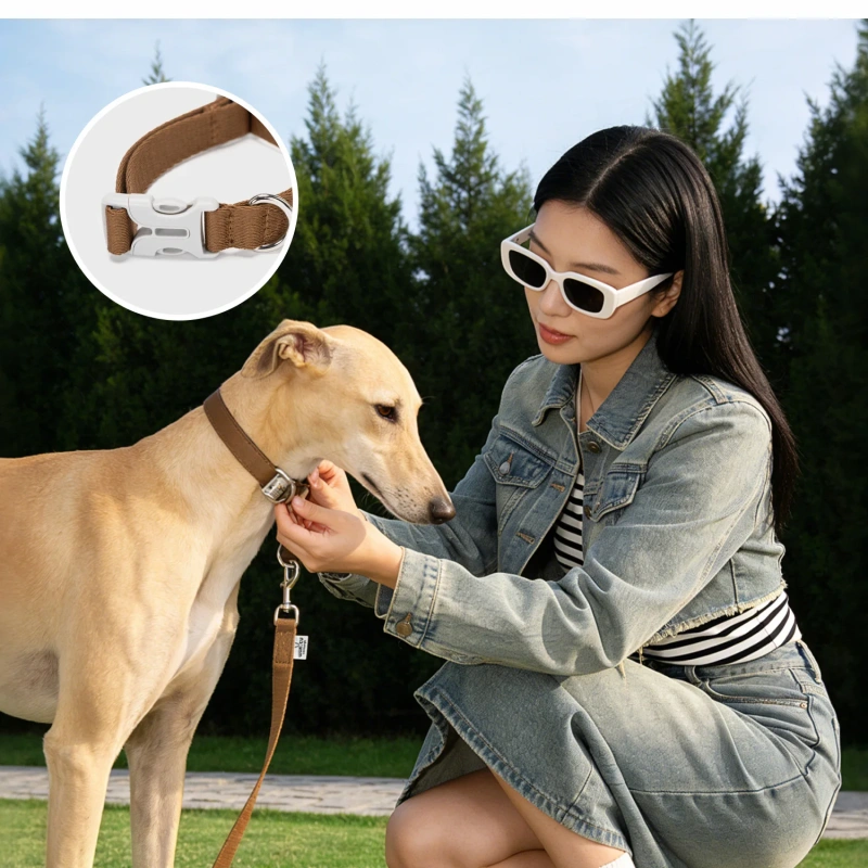 Dog Collar and Leash Set Lightweight cotton Pet Leash with Padded Handle heavy duty collar and leash for Small Medium large Dogs