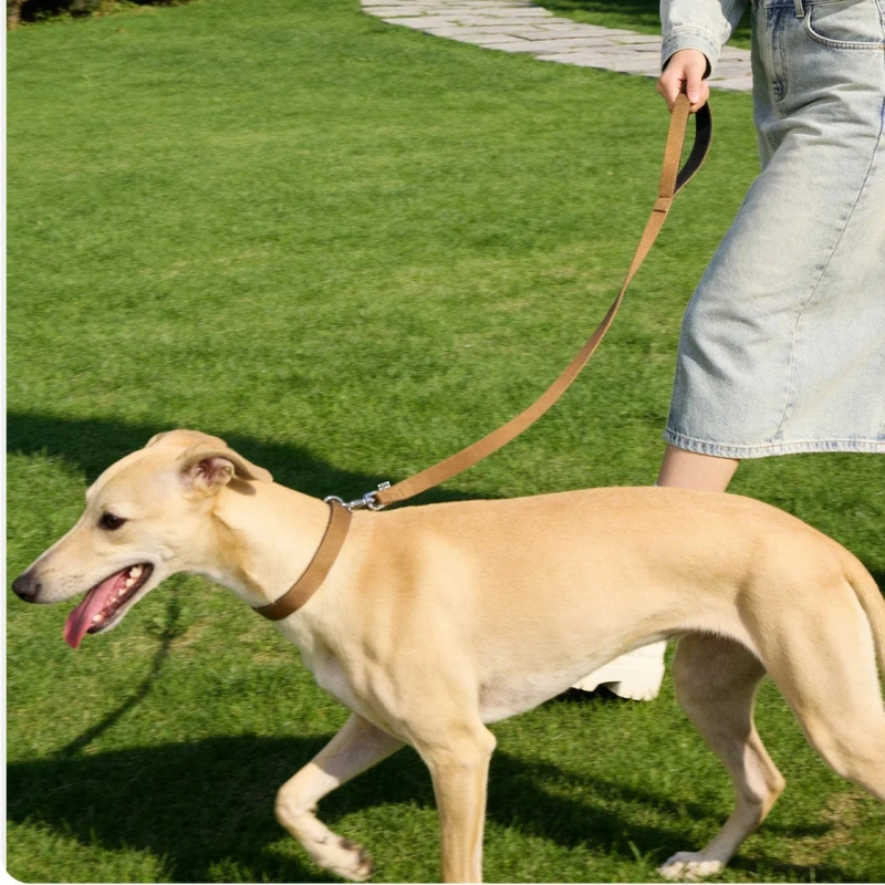 Dog Collar and Leash Set Lightweight cotton Pet Leash with Padded Handle heavy duty collar and leash for Small Medium large Dogs