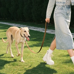 Dog Collar and Leash Set Lightweight cotton Pet Leash with Padded Handle heavy duty collar and leash for Small Medium large Dogs