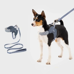 No Pull Dog Harness and Leash Set Adjustable Soft Dog Vest Harness with leash set Comfort Lightweight dog walking accessories