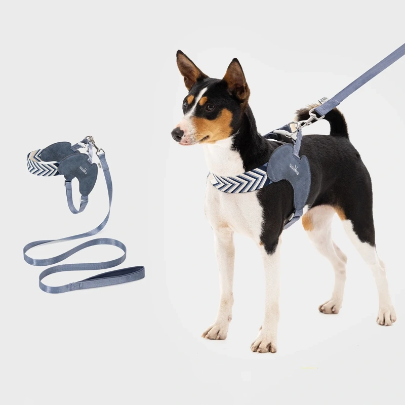 No Pull Dog Harness and Leash Set Adjustable Soft Dog Vest Harness with leash set Comfort Lightweight dog walking accessories