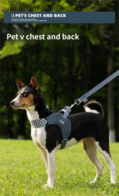 No Pull Dog Harness and Leash Set Adjustable Soft Dog Vest Harness with leash set Comfort Lightweight dog walking accessories