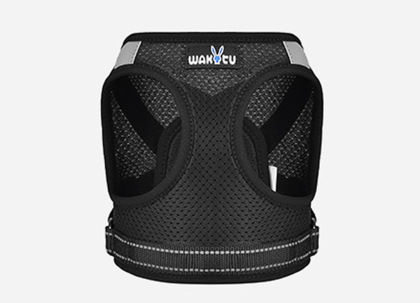 Pet cat harness