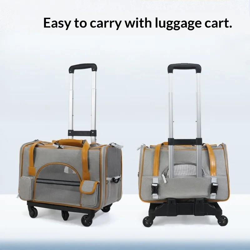 Cat and dog travel bag go out portable foldable pet bag
